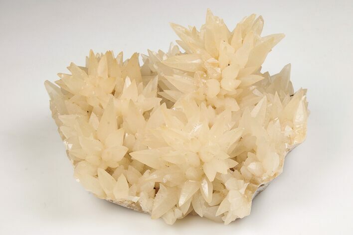 Dogtooth Spar Calcite Crystal Cluster - China #205504